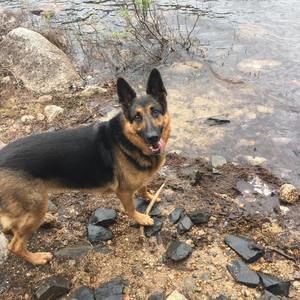 Meet your Posher, Jeff